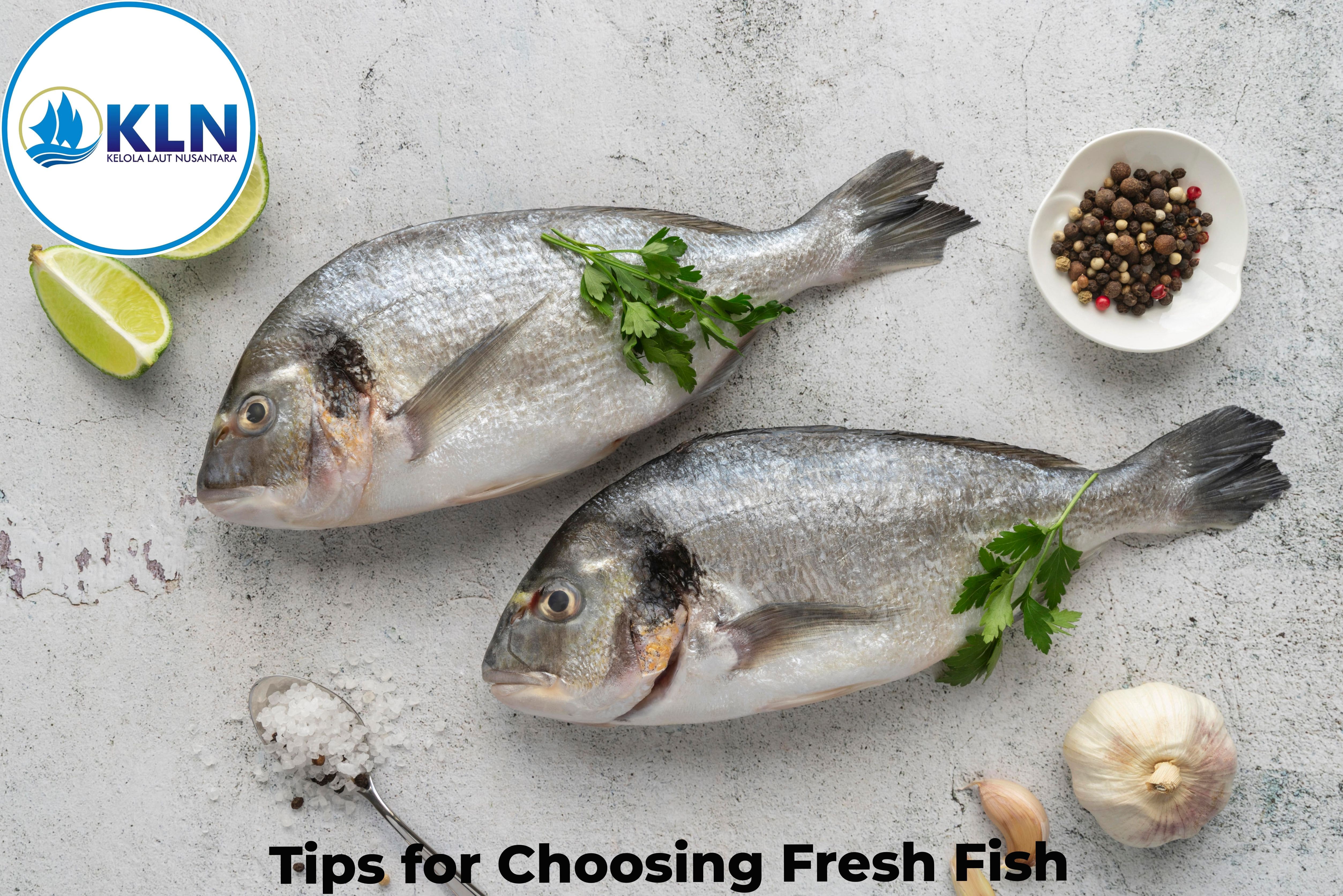 Tips for Choosing Fresh Fish